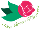 sisa green flowers
